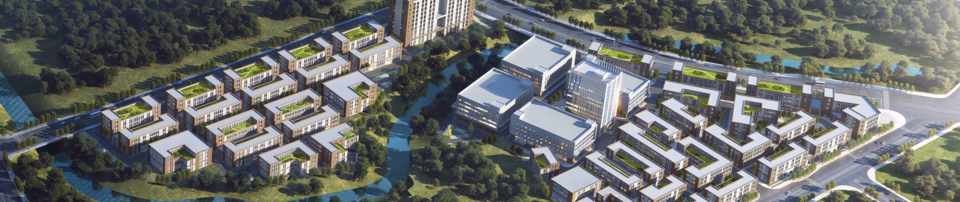 ��ϵ����